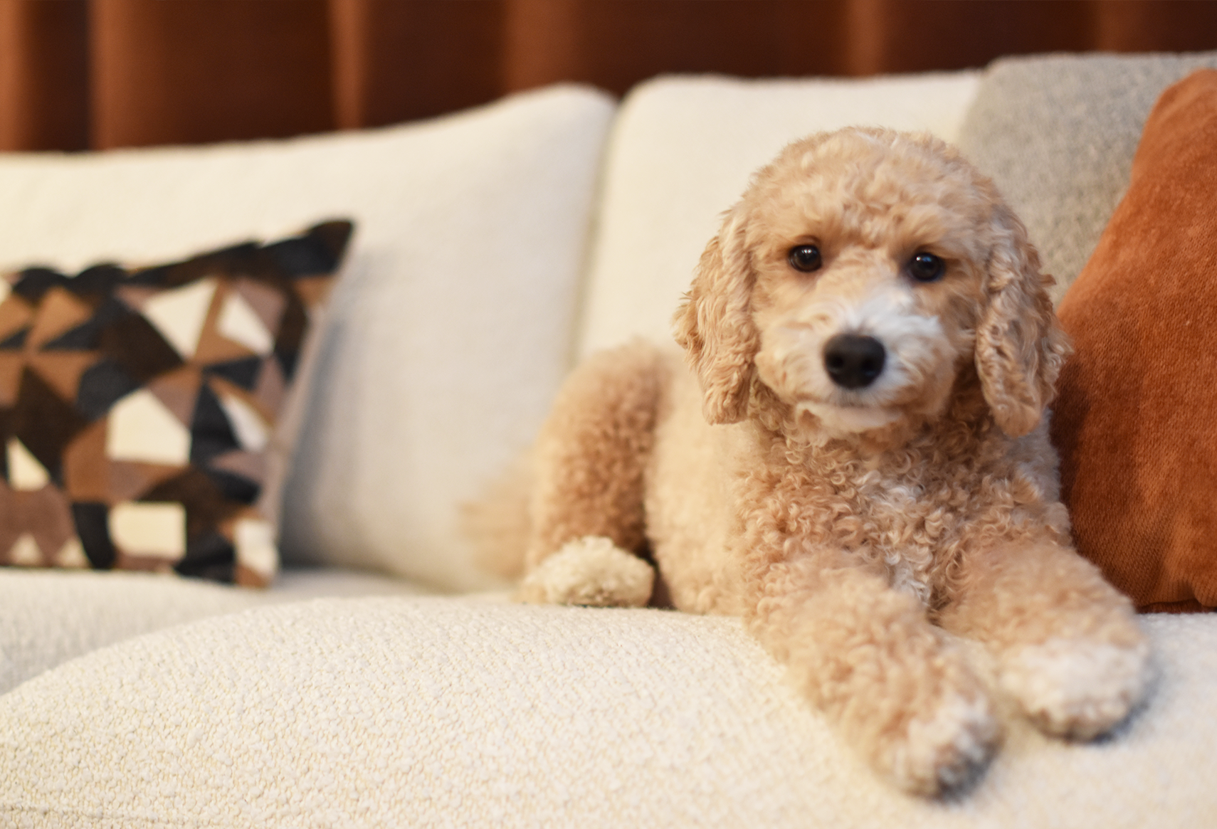 Why Post-Remodel Photography Is Essential for Your Business